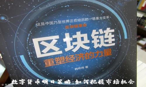   
数字货币明日策略：如何把握市场机会