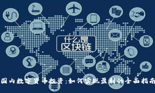 国内数字货币投资：如何实现盈利的全面指南