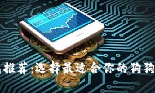 狗狗币钱包推荐：选择最适合你的狗狗币存储方式