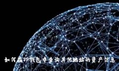 如何在TP钱包中查询其他地址的资产信息