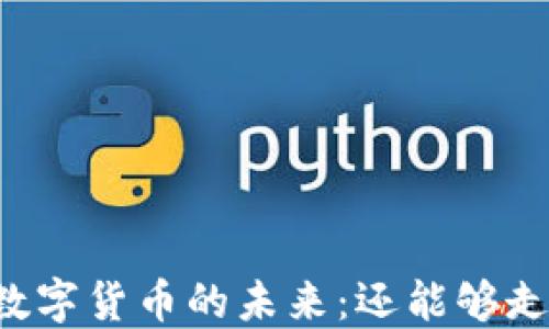
虚拟数字货币的未来：还能够走多久？