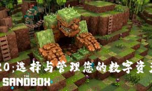 以太坊钱包20：选择与管理您的数字资产的终极指南