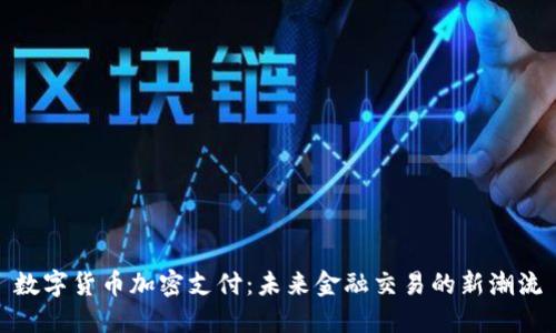 数字货币加密支付：未来金融交易的新潮流