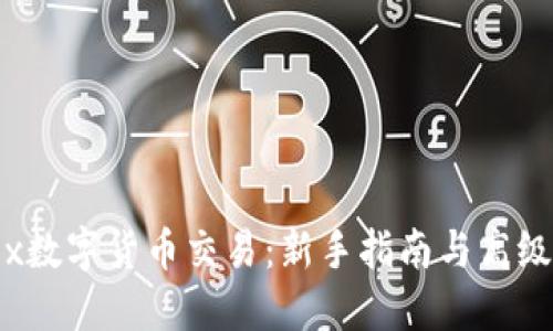 Weex数字货币交易：新手指南与高级技巧