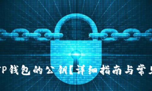 如何导出TP钱包的公钥？详细指南与常见问题解析