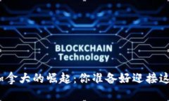 数字货币在加拿大的崛起：你准备好迎接这一变