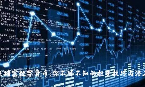 揭秘柬埔寨数字货币：你不可不知的投资技巧与潜在风险