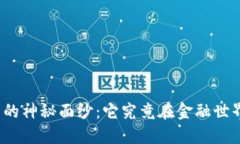 揭开美极数字货币的神秘面纱：它究竟在金融世
