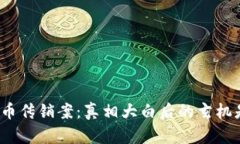 数字货币传销案：真相大白后的玄机是什么？