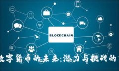 :FISU数字货币的未来：潜力与挑战的交汇点