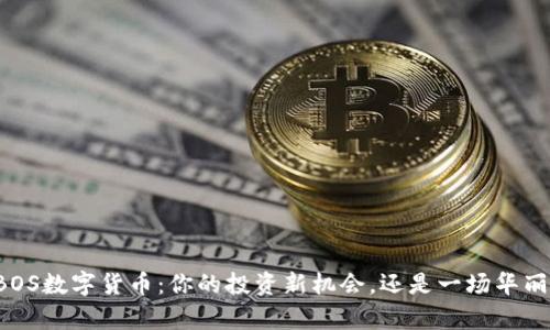 解密FIBOS数字货币：你的投资新机会，还是一场华丽的幻觉？