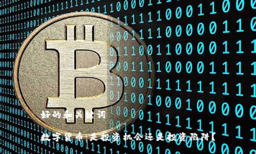 好的和关键词

数字货币：是投资机会还是投资陷阱？