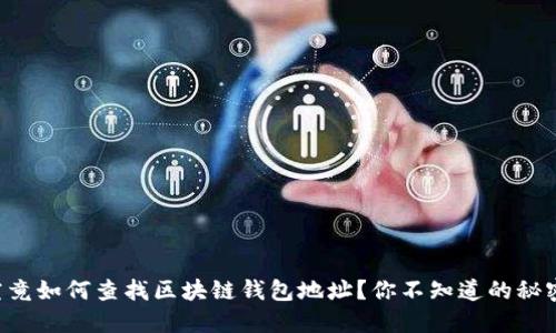 究竟如何查找区块链钱包地址？你不知道的秘密！