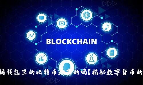 以太坊钱包里的比特币是真的吗？揭秘数字货币的奥秘！