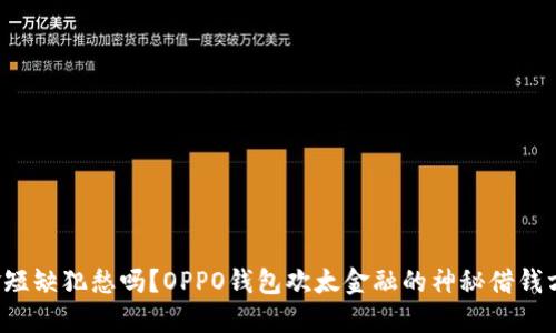 你还在为资金短缺犯愁吗？OPPO钱包欢太金融的神秘借钱方案揭开面纱！