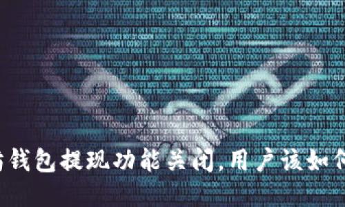 以太坊钱包提现功能关闭，用户该如何应对？