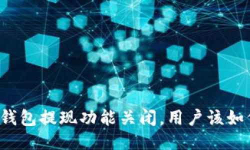 以太坊钱包提现功能关闭，用户该如何应对？
