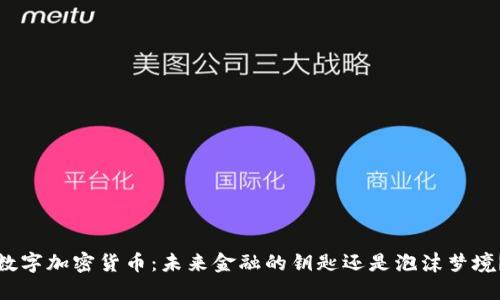 数字加密货币：未来金融的钥匙还是泡沫梦境？