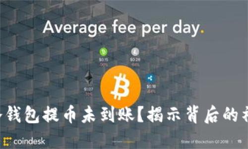 以太坊冷钱包提币未到账？揭示背后的神秘原因！