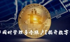 如何在TP钱包中同时管理多个账户？揭开数字资产