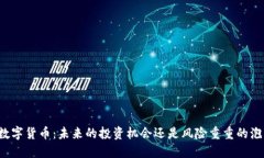 FP数字货币：未来的投资机会还是风险重重的泡沫