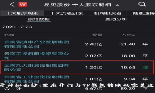 揭开神秘面纱：芝麻开门与TP钱包转账的完美攻略！