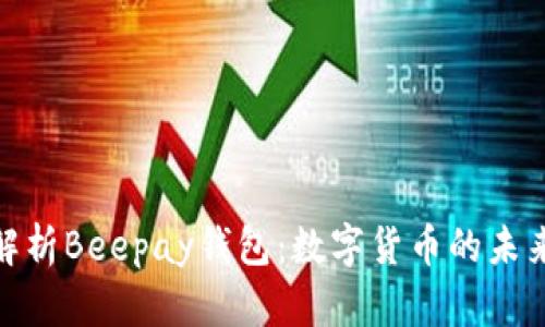 全面解析Beepay钱包：数字货币的未来之选