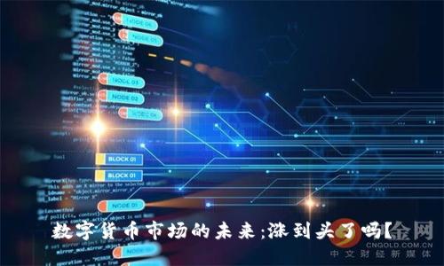 数字货币市场的未来：涨到头了吗？