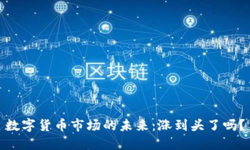数字货币市场的未来：涨到头了吗？
