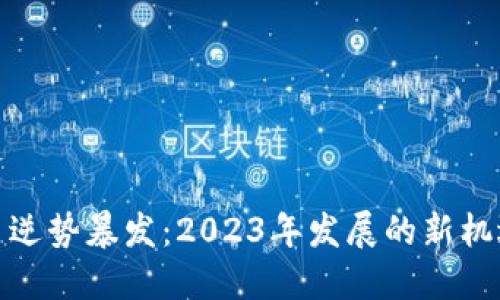 数字货币逆势暴发：2023年发展的新机遇与挑战