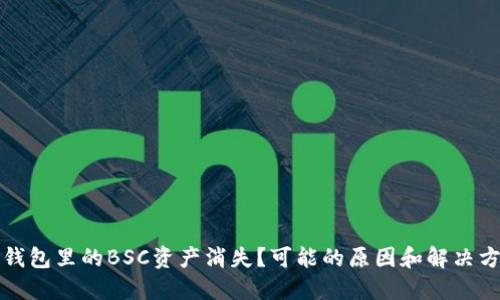 TP钱包里的BSC资产消失？可能的原因和解决方案