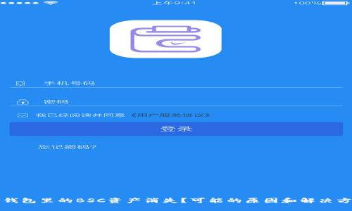 TP钱包里的BSC资产消失？可能的原因和解决方案