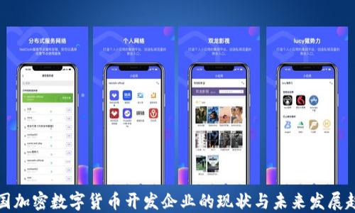 
中国加密数字货币开发企业的现状与未来发展趋势