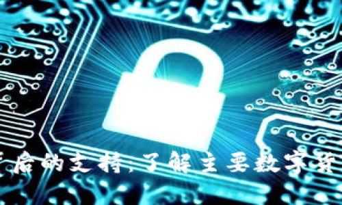 央行数字货币背后的支持：了解主要数字货币与法币的关系