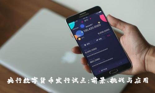 央行数字货币发行试点：前景、挑战与应用