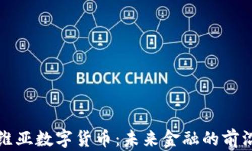 
玻利维亚数字货币：未来金融的前沿探索