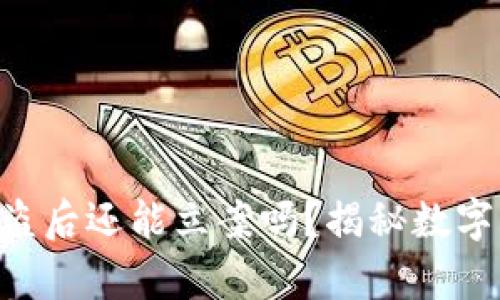 ### TP钱包被盗后还能立案吗？揭秘数字钱包安全的真相！