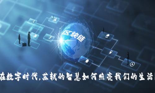 在数字时代，苏轼的智慧如何照亮我们的生活？