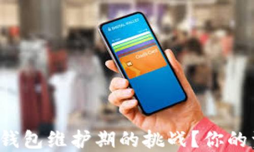 
如何应对TP钱包维护期的挑战？你的资产安全吗？