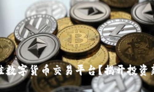 如何选择全球最佳数字货币交易平台？揭开投资新机遇的神秘面纱