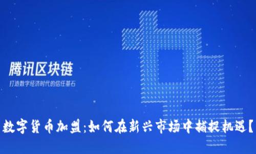 数字货币加盟：如何在新兴市场中捕捉机遇？