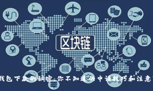  koo钱包下款的秘密：你不知道的申请技巧和注意事项 