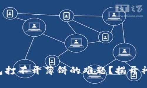 你是否也遇到TP钱包打不开薄饼的难题？揭开神秘背后的解决方案！