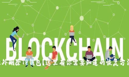 意外删除TP钱包？这里有你需要知道的恢复方法！