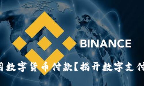 老外如何使用数字货币付款？揭开数字支付的神秘面纱！