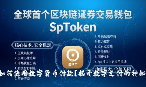 老外如何使用数字货币付款？揭开数字支付的神秘面纱！