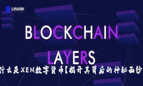 什么是XEM数字货币？揭开其背后的神秘面纱！