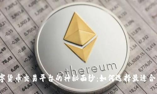 揭开正规数字货币交易平台的神秘面纱：如何选择最适合你的交易所？