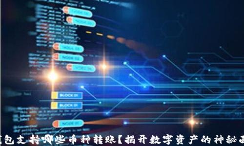 
TP钱包支持哪些币种转账？揭开数字资产的神秘面纱！