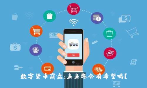 数字货币崩盘：未来还会有希望吗？